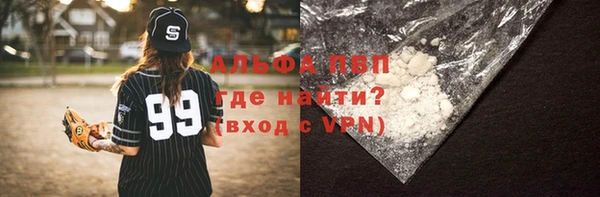 прущие крисы Гусев