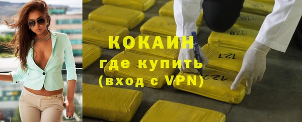 шишки Гусь-Хрустальный