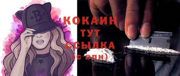 прущие крисы Гусев