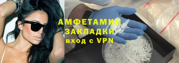 шишки Гусь-Хрустальный