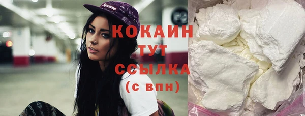 шишки Гусь-Хрустальный