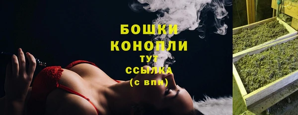 шишки Гусь-Хрустальный