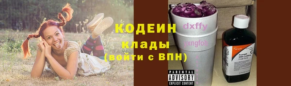 шишки Гусь-Хрустальный