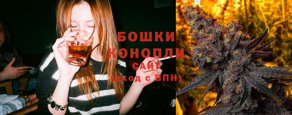 шишки Гусь-Хрустальный