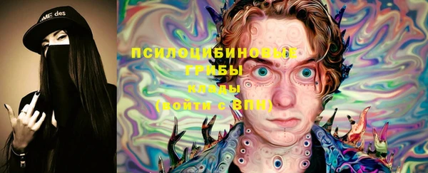 прущие крисы Гусев