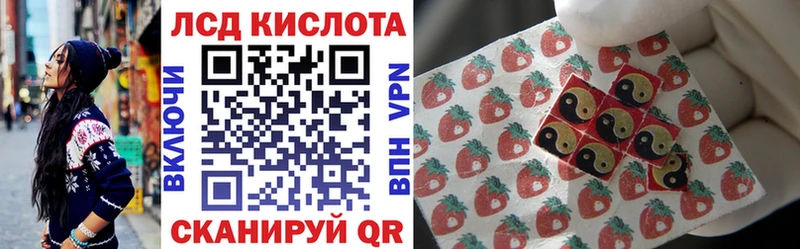 маркетплейс состав  Дно  Марки N-bome 1,8мг 