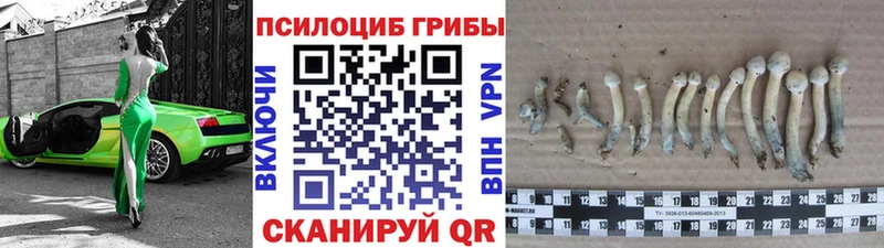 Галлюциногенные грибы мицелий  купить закладку  Дно 